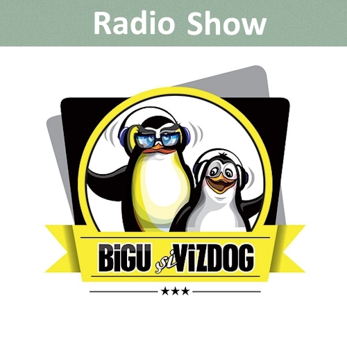 Bigu si Vizdog